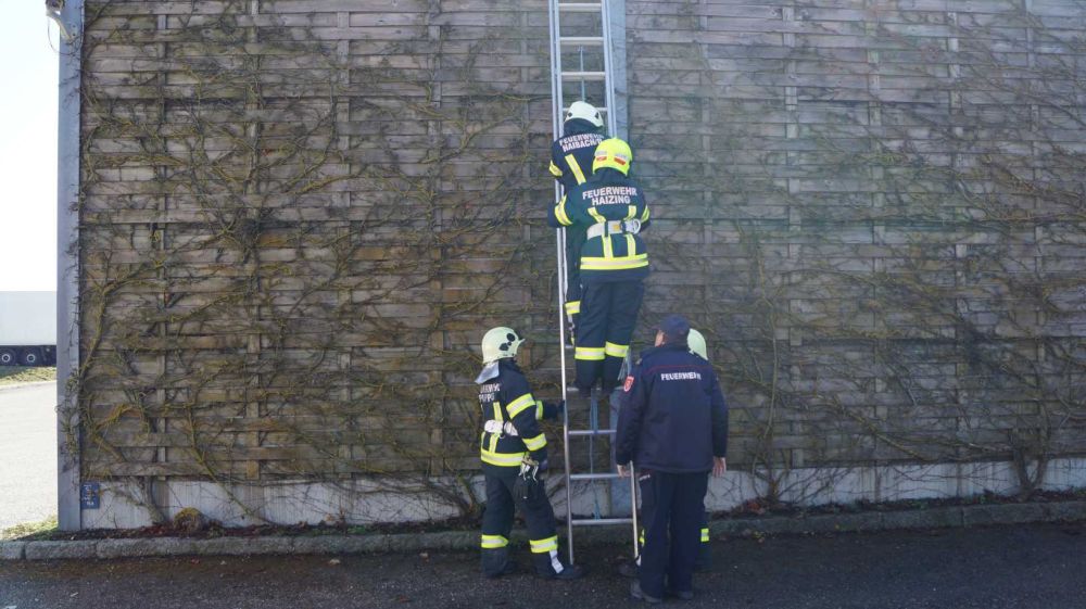 2026_03_07_Truppmann (91)