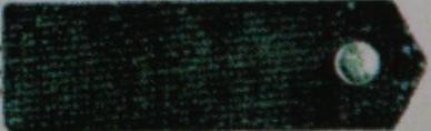 1893 OOe Mannschaft