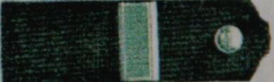 1893 OOe Rottenfuehrer Stv