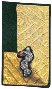 1988 BFWA