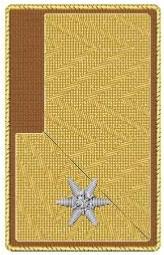 DG ABI d.F. braun 1