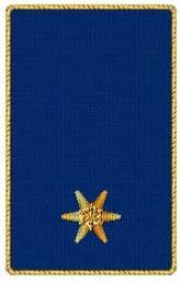 1988 PFM