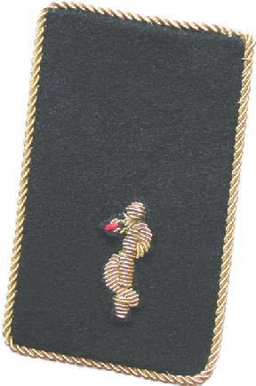 DG FA
