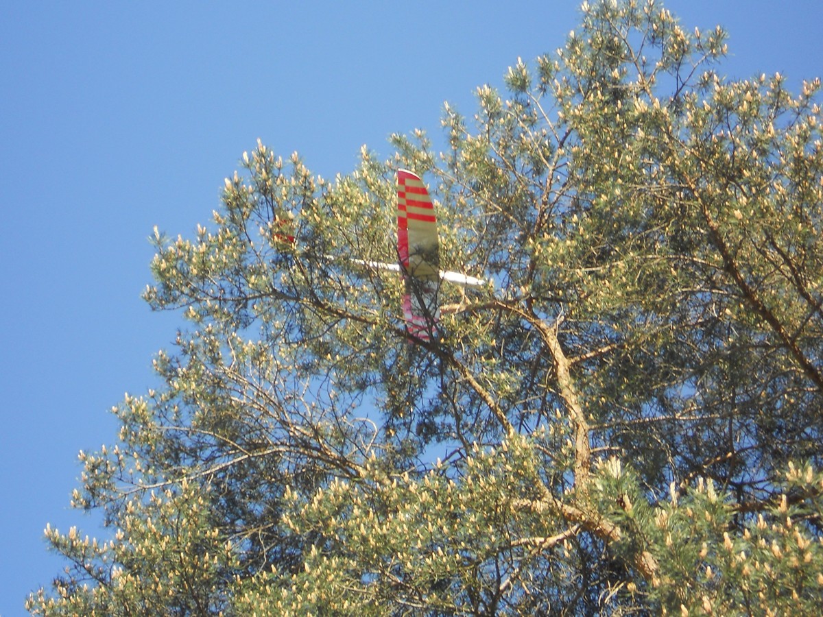 Modelflugzeugbergung 1