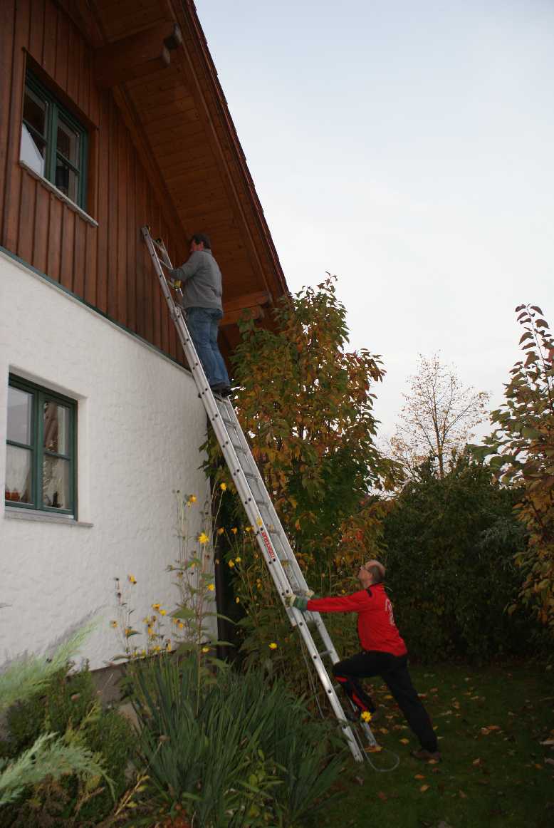 20121019 Wespennest (6)