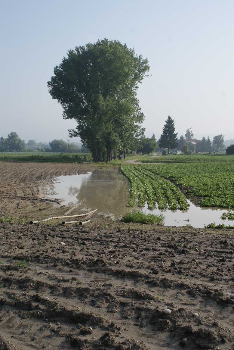20110603 Sturmschaden (18)