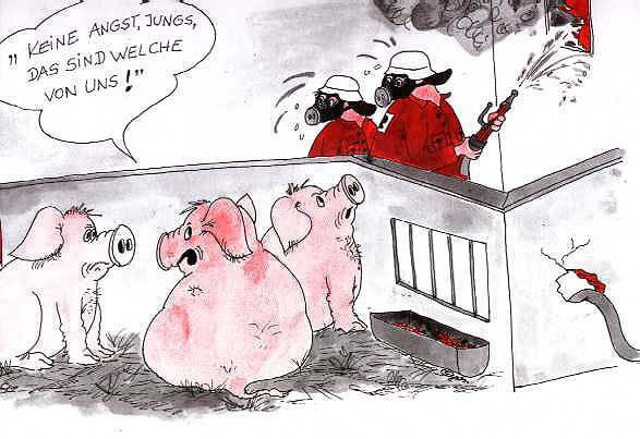 Schweinestall.jpg Schweinestall.jpg